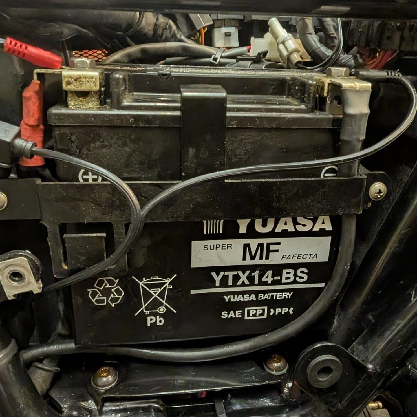 Moto Guzzi V7 Cafe Classic - original battery still kicking out volts since 2012 #motoguzziv7cafe #guzzisti #motorcycle #guzzi #battery